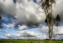 克罗地亚失守比荷兰仍望出线