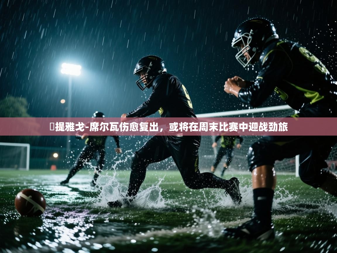 蒒提雅戈-席尔瓦伤愈复出，或将在周末比赛中迎战劲旅  第1张