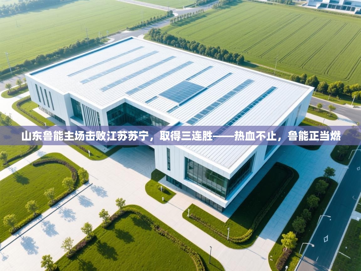 山东鲁能主场击败江苏苏宁，取得三连胜——热血不止，鲁能正当燃  第2张